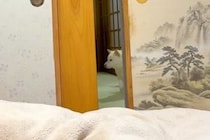『お兄ちゃんが帰ってしまう』と焦る犬→内緒で『お布団に隠れて待ってみた』結果…まさかのブチギレが143万再生「感情豊か」「嬉しいくせにｗ」