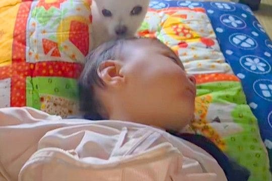 おばあちゃんの家で眠る赤ちゃん→一緒にいた犬が『見守ってくれてる』と思ったら…『尊すぎる行動』に反響「めちゃ可愛い」「ふたりともお利口」