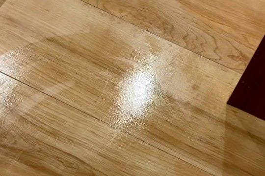おしっこを失敗してしまった大型犬→床を掃除していたら、ひっそりと…思わずニヤける『申し訳ない表情』に反響「見方がｗ」「なんとも言えない顔」