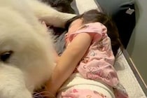 朝8時、なかなか起きない娘を『超大型犬』と起こしに行った結果→『思っていたのと違う光景』が42万再生「最上級に仲良し」「なんて幸せな朝」