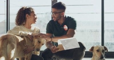 保護犬を撫でる女性