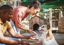 犬の『里親詐欺』とは？犯罪に巻き込まれないためにはどうしたらいいの？必ず知っておくべきことまで