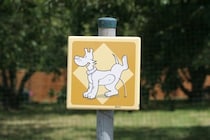 犬が人に『おしっこ』をかける理由3つ　やめさせたい場合の適切なしつけ方法とは？