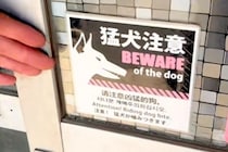 入口に『猛犬注意』の張り紙→扉を開けてみると…思いがけない『まさかの光景』に爆笑「確かに危険、仕事の時間を奪われる」「逆に猛犬ｗｗ」
