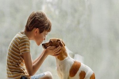 少年にキスされている犬