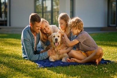 家族と犬