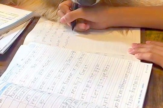 男の子が友達と『勉強会』をした結果→家にいた大型犬も参加して…『絶対に勉強にならない光景』が12万再生「嬉しそう」「テンションの差がw」