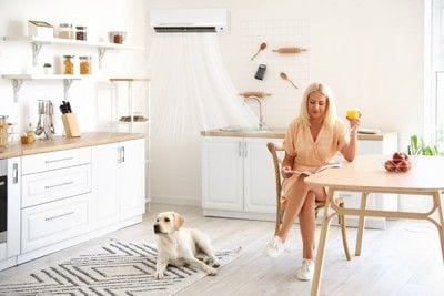 冷房を使う部屋の犬と女性