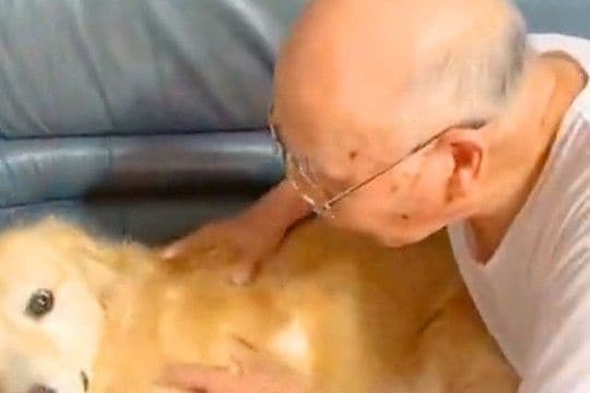 入院していたおじいちゃん→退院後、大型犬と再会した結果…嬉しさ全開すぎる『おかえりなさいのご挨拶』に絶賛「なんて可愛いの」「まるで孫w」