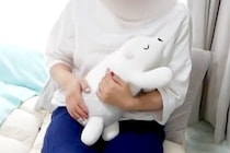 犬が抱っこを拒否するので、仕方なく『ぬいぐるみを抱っこした』結果→愛おしすぎる『反応』に絶賛「可愛いやきもち」「本当は大好きだよね」