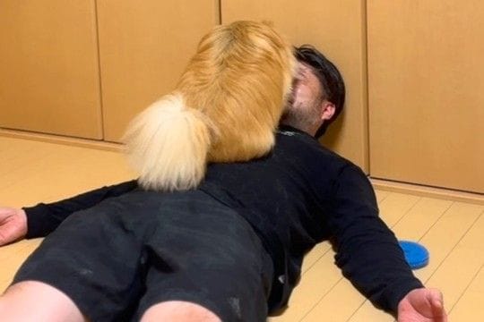 夫のことが大好きな犬→『顔を舐めて愛情表現している』と思ったら…想定外すぎた『まさかの行動』が24万再生「爆笑したw」「フルコースで草」