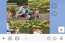 親から100件近くのLINE→『何かあったのかも』と焦り、確認すると…予想外すぎた『まさかの内容』に絶賛「ニヤニヤした」「可愛くて幸せ」