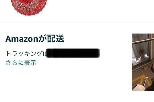 Amazonからの『お届け完了通知』→確認してみたら…思わず吹き出す『まさかの報告写真』に爆笑「わかってる配達員ｗ」「両方可愛いｗ」