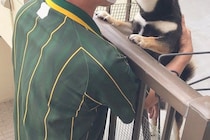 『クロネコヤマトのお兄さん』が配達に来た結果→犬が『大喜び』して…相思相愛な『尊すぎる光景』に3万いいね「耳が可愛い」「配達楽しみだね」