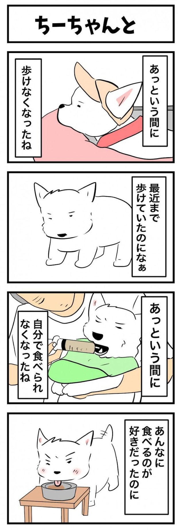 ちーちゃんですけどもっ【第369話】　1