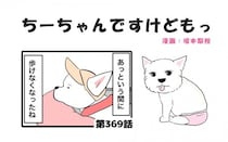 ちーちゃんですけどもっ【第369話】「ちーちゃんと」