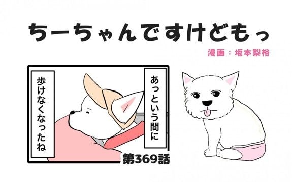 ちーちゃんですけどもっ【第369話】「ちーちゃんと」