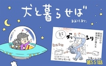 犬と暮らせば【第551話】「犬飼いの夏あるある」