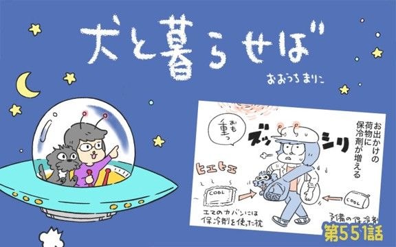犬と暮らせば【第551話】「犬飼いの夏あるある」