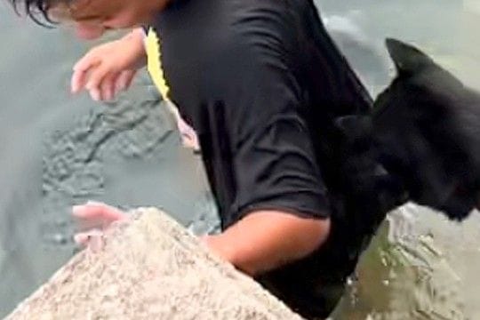 男の子が川で泳いだ結果→見ていた犬が『やめて!』と心配して…まるで『本当の母親』のような光景が11万再生「すごく心配してる」「健気すぎ」