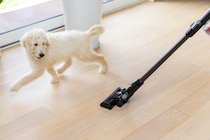 犬が『恐怖』を感じるモノとは？愛犬が怖がっているときにみせるサインや安心させる方法まで