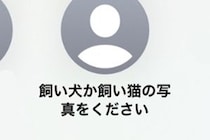 スマホで知らない人から『犬か猫の写真ください』のメッセージ→試しに愛犬を送ってみたら…『驚きの展開』が289万再生「素敵」「平和で好き」