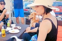 男性が触れると唸る『人見知りの犬』→女性の場合だと…あからさますぎる『態度の違い』が14万再生「デレデレで草」「やっぱり男の子ｗｗ」