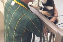 『クロネコヤマトのお兄さん』が配達に来た結果→犬が『大喜び』して…相思相愛な『尊すぎる光景』に3万いいね「耳が可愛い」「配達楽しみだね」