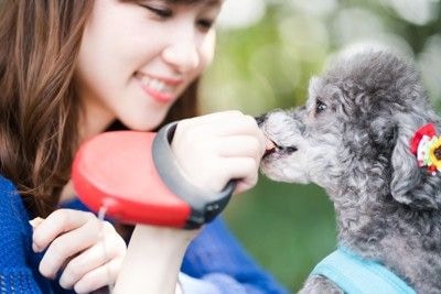 おやつを女性からもらう犬