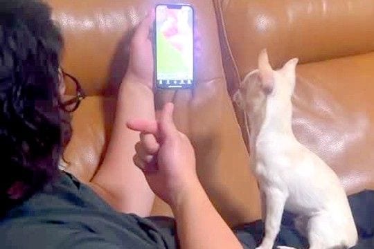 SNSで見かけた『犬の芸』を教えようとするパパ→挑戦してみた結果…理不尽すぎる『まさかの展開』が42万再生「爆笑」「天才かと思ったらw」
