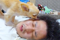 休日の朝、まだ眠いので『四度寝』した結果→犬が『起きてよ！』とブチギレて…微笑ましい『攻防戦』が106万再生「可愛い」「笑い止まらんｗ」