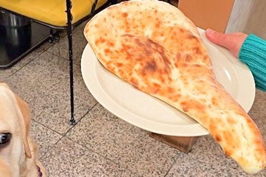 『ナンに似てるね』と突然言われた大型犬→思った以上に『不服そうな表情』に2万いいね集まる「ナンでやねん」「分からなくもないｗｗ」と爆笑