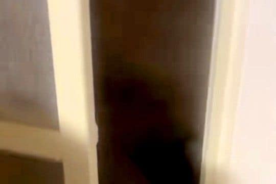 『お風呂場からものすごい音がする』何事かと思い、見に行った結果→『予想外すぎる光景』が73万再生「やめる気なくて草」「反抗的な目ｗｗ」