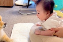 赤ちゃんが『うつ伏せのトレーニング』をした結果→近くで犬が見守って…『本当の兄のような光景』が18万再生「優しい」「すべてが微笑ましい」