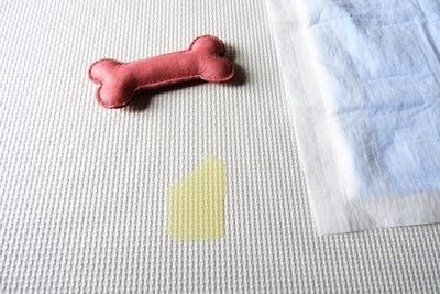 おもちゃ、トイレシート、はみ出した