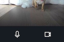 お留守番中の犬に『遠隔でご飯をあげようとした』結果→眠っていたようで…カメラが捉えた光景に6万いいね「可愛すぎ」「食欲が勝ってるｗｗ」