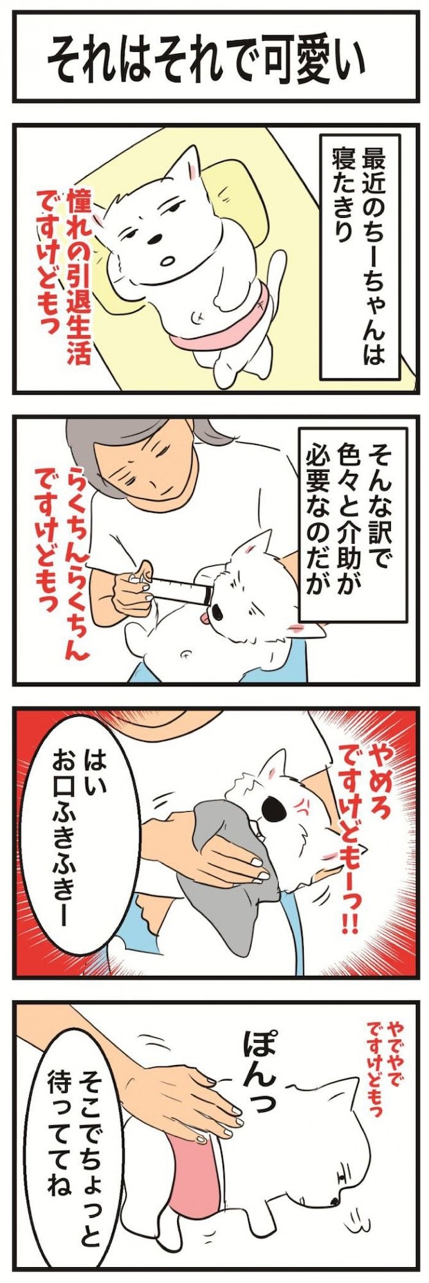 ちーちゃんですけどもっ【第370話】　1