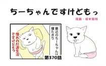 ちーちゃんですけどもっ【第370話】「それはそれで可愛い」