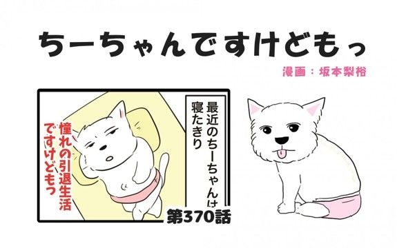 ちーちゃんですけどもっ【第370話】「それはそれで可愛い」