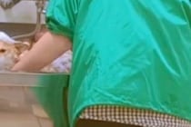 お風呂嫌いな犬が『プロのシャンプーを体験した』結果→技術にうっとりして…普段と違いすぎる表情が27万再生「わかりやすくて草」「可愛すぎ」