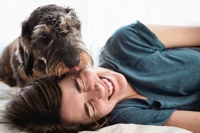 女性の顔を舐める犬