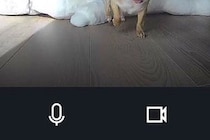 お留守番中の犬に『遠隔でご飯をあげようとした』結果→眠っていたようで…カメラが捉えた光景に6万いいね「可愛すぎ」「食欲が勝ってるｗｗ」