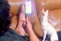 SNSで見かけた『犬の芸』を教えようとするパパ→挑戦してみた結果…理不尽すぎる『まさかの展開』が42万再生「爆笑」「天才かと思ったらｗ」