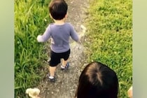 偶然『捨て犬』を発見→子どもが『この子、一緒に散歩する家族はいないの？』と呟き…12年後の『現在』が泣けると反響「本当よかった」「運命」