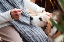 犬が老犬になる前に改善すべきこと4つ　見直した方がいい生活習慣や事前準備まで