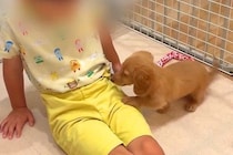 赤ちゃん犬を飼って1週間後→『4歳の息子』に懐きすぎてしまい…反則級な『尊すぎるやり取り』が27万再生「大好きなんだね」「癒される…」