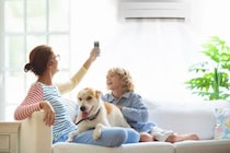 犬に絶対やってはいけない『熱中症対策』5選　逆効果となるNG行為や適切な予防法まで