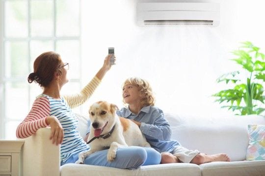 犬に絶対やってはいけない『熱中症対策』5選　逆効果となるNG行為や適切な予防法まで