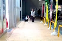 帰国すると、毎回『実家の犬』が迎えにきてくれて…気づいた瞬間の『盛大すぎるおかえりなさい』が尊いと22万再生「愛しくてたまらん」「涙出る」