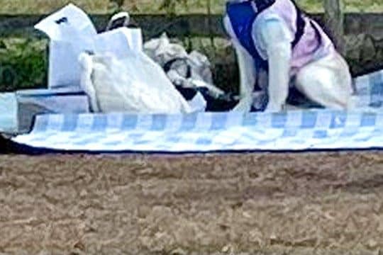 ドッグランに来た大型犬→『大はしゃぎするかな』と思ったら…完全に立場が逆な『まさかの光景』に反響「忠実な番犬ｗｗ」「人間が走るのか…」